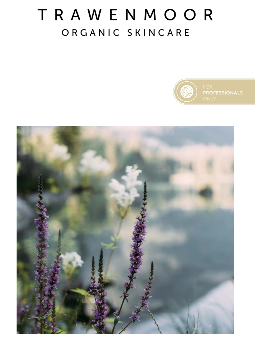 campaing image