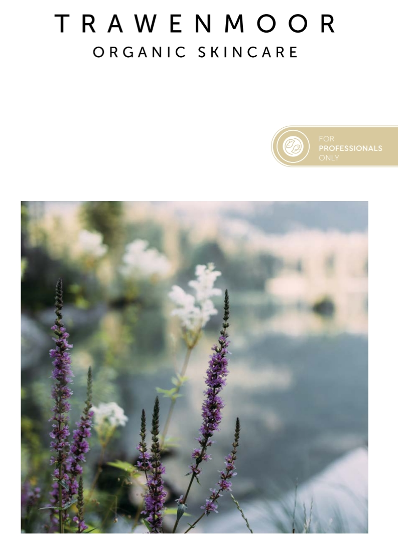 campaing image
