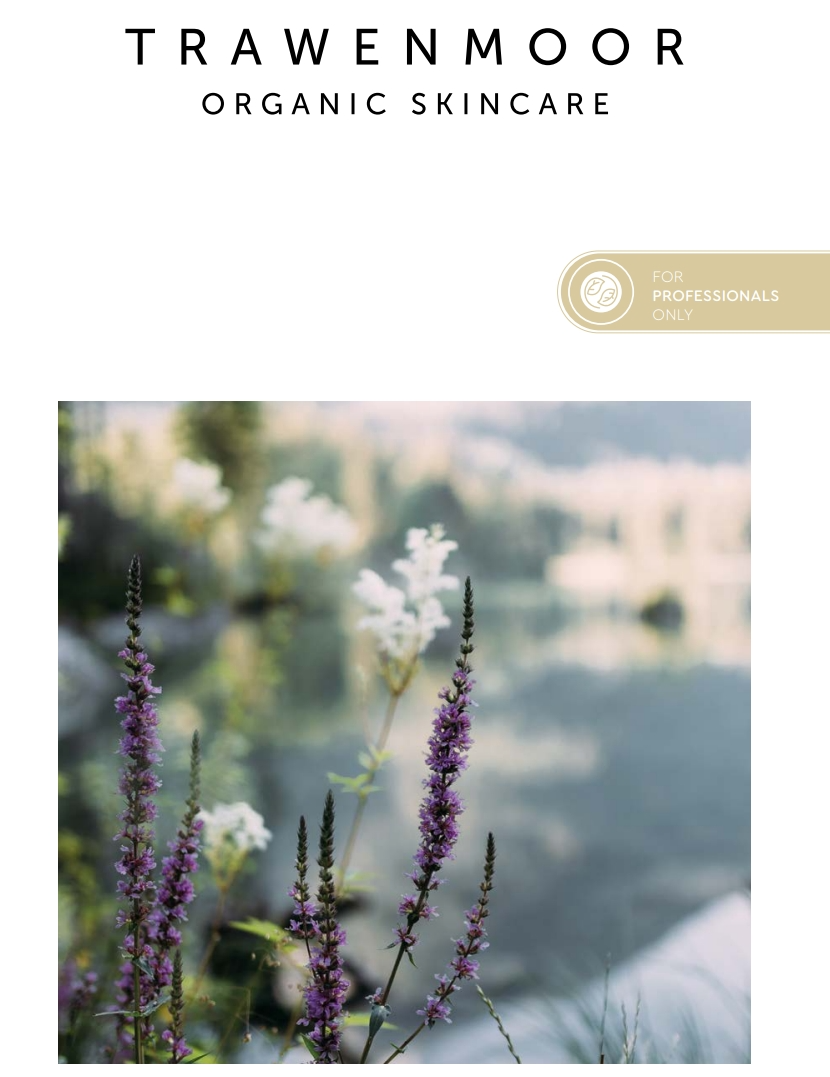 campaing image