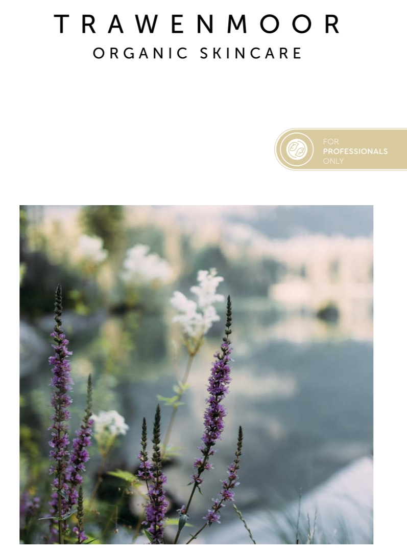 campaing image