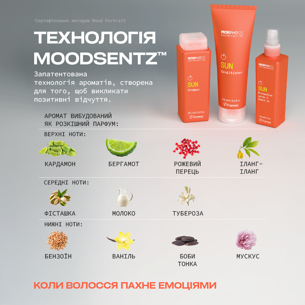 Framesi MORPHOSIS SUN SHAMPOO NEW 250 мл: В корзину A03575 - цена косметолога