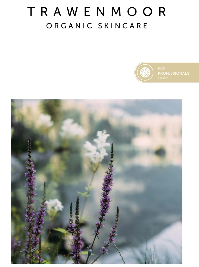 campaing image