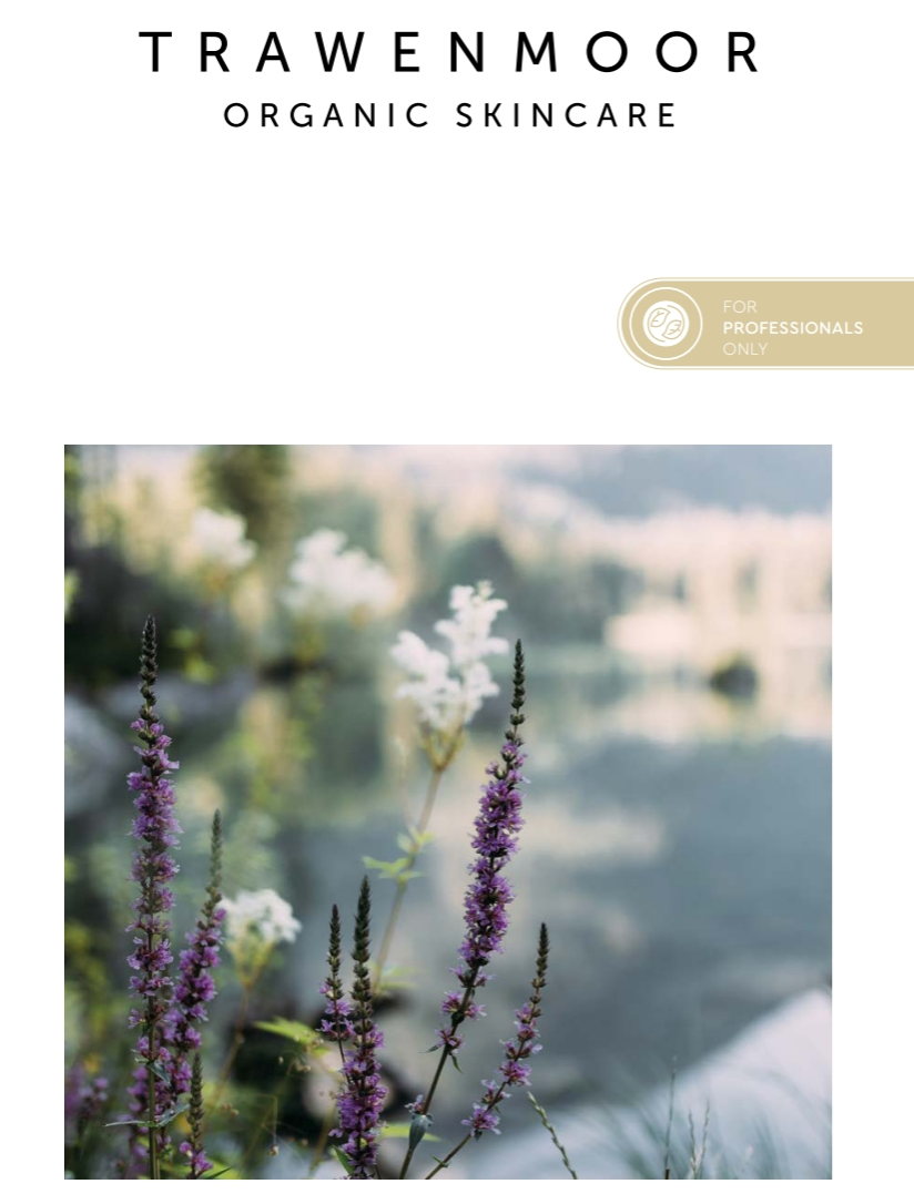 campaing image